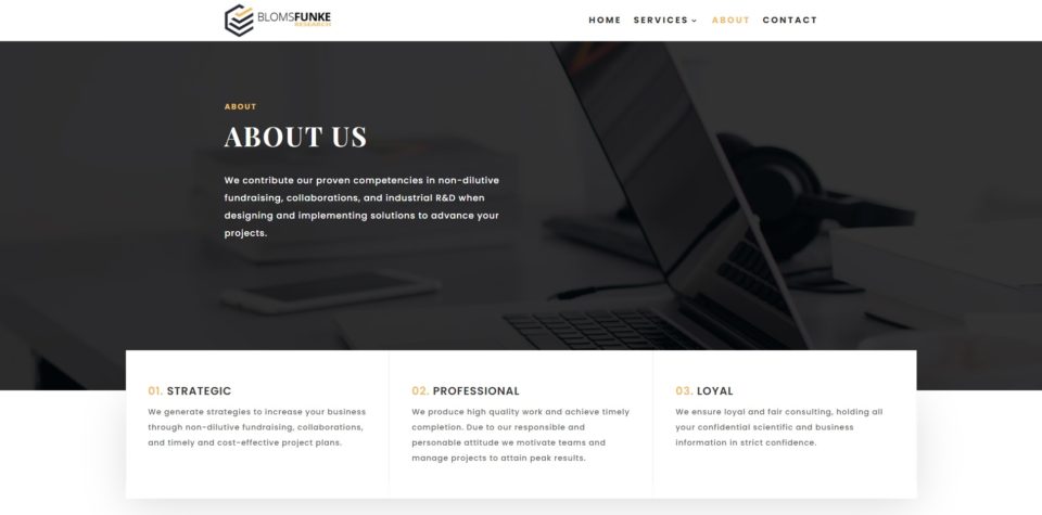 staart-projekte-blomsfunkeresearch-5 BlomsFunkeResearch Screenshot 5