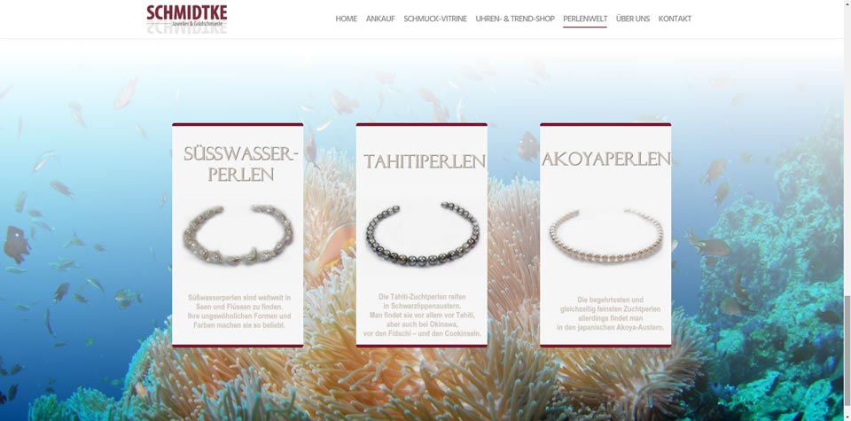 staart-projekte-schmuck-schmidtke-5 Schmuck Schmidtke Screenshot 5